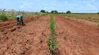 Foto 17 de Fazenda/Sítio com 3 Quartos à venda, 25000m² em Zona Rural, Touros