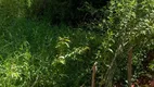 Foto 6 de Fazenda/Sítio à venda, 20000m² em Zona Rural, Cordisburgo
