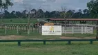 Foto 4 de Fazenda/Sítio com 10 Quartos à venda, 800m² em Zona Rural, São Félix do Xingu