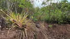 Foto 13 de Fazenda/Sítio à venda, 110000m² em Zona Rural, Alto Paraíso de Goiás