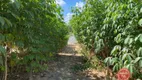 Foto 3 de Lote/Terreno à venda, 1000m² em Condomínio das Águas Claras, Brumadinho