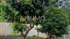 Foto 3 de Lote/Terreno à venda, 250m² em Jardim Flamboyant, Campinas