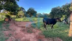 Foto 5 de Fazenda/Sítio com 2 Quartos à venda, 60m² em Zona Rural, São Sebastião do Oeste