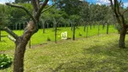 Foto 12 de Fazenda/Sítio com 5 Quartos à venda, 20000m² em Sao Gotardo, Flores da Cunha