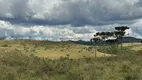 Foto 18 de Fazenda/Sítio à venda em Zona Rural, Urubici