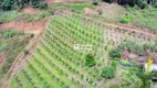 Foto 3 de Fazenda/Sítio com 3 Quartos à venda, 20000m² em Varginha, Nova Friburgo