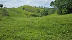 Foto 18 de Fazenda/Sítio à venda, 195000m² em Pirajuia, Jaguaripe