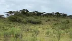 Foto 9 de Fazenda/Sítio à venda, 240000m² em Perico, São Joaquim