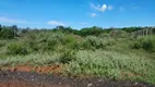 Foto 3 de Lote/Terreno à venda, 5000m² em Chacaras Di Carvalho, Uberaba