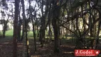 Foto 46 de Fazenda/Sítio com 3 Quartos à venda, 300m² em Area Rural de Sao Jose dos Pinhais, São José dos Pinhais