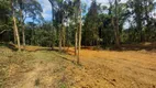 Foto 7 de Lote/Terreno à venda, 4000m² em Zona Rural, Morretes