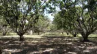 Foto 3 de Fazenda/Sítio com 3 Quartos à venda, 75000m² em Centro, Pindoretama