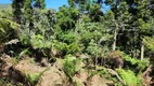 Foto 8 de Fazenda/Sítio à venda, 20000m² em , Urubici