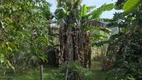 Foto 29 de Fazenda/Sítio com 2 Quartos à venda, 43000m² em Area Rural de Biguacu, Biguaçu