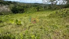 Foto 7 de Lote/Terreno com 1 Quarto à venda, 117000m² em Iguape, Ilhéus