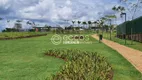 Foto 4 de Lote/Terreno à venda, 399m² em Gávea, Uberlândia