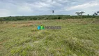 Foto 15 de Fazenda/Sítio com 4 Quartos à venda, 250m² em Zona Rural, Jequitibá