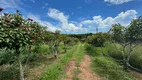 Foto 21 de Fazenda/Sítio à venda, 15000m² em Zona Rural, Ceará Mirim