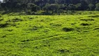 Foto 16 de Fazenda/Sítio com 1 Quarto à venda, 40000m² em , Rio Rufino