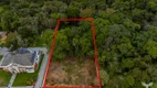 Foto 4 de Lote/Terreno à venda, 4919m² em Fazendinha, Campo Largo