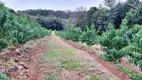 Foto 14 de Fazenda/Sítio com 2 Quartos à venda, 163000000m² em Campinho, Roca Sales