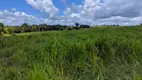 Foto 14 de Fazenda/Sítio com 3 Quartos à venda, 3750000m² em Centro, São Miguel do Guamá