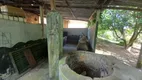 Foto 17 de Fazenda/Sítio com 3 Quartos à venda, 250000m² em Zona Rural, Silvânia