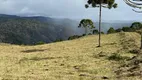 Foto 13 de Fazenda/Sítio à venda, 20000m² em Zona Rural, Urubici