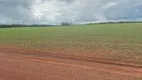 Foto 13 de Fazenda/Sítio à venda, 10700000m² em Zona Rural, Campinápolis