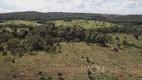 Foto 11 de Fazenda/Sítio com 8 Quartos à venda, 4300000m² em Centro, Pimenta Bueno