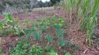 Foto 23 de Fazenda/Sítio com 2 Quartos à venda, 3000m² em Santa Cruz da Figueira, Águas Mornas