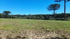 Foto 7 de Lote/Terreno à venda, 75000m² em Centro, Campo do Tenente