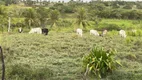 Foto 6 de Fazenda/Sítio com 2 Quartos à venda, 9000m² em Cobe de Cima, Vera Cruz