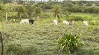 Foto 6 de Fazenda/Sítio com 2 Quartos à venda, 90m² em Cobe de Cima, Vera Cruz