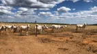 Foto 8 de Fazenda/Sítio à venda em Zona Rural, Paranatinga