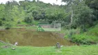 Foto 4 de Fazenda/Sítio com 4 Quartos à venda, 325m² em Mailasqui, São Roque