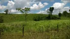 Foto 8 de Fazenda/Sítio com 4 Quartos à venda, 14190000m² em Zona Rural, Mundo Novo