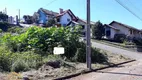 Foto 3 de Lote/Terreno à venda, 393m² em Logradouro, Nova Petrópolis