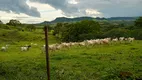 Foto 7 de Fazenda/Sítio com 1 Quarto à venda, 484000m² em Zona Rural, Santo Antônio da Alegria