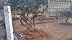 Foto 11 de Fazenda/Sítio com 3 Quartos à venda, 150m² em Moreira César, Pindamonhangaba