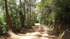 Foto 3 de Fazenda/Sítio com 3 Quartos à venda, 200m² em Santa Clara, Jundiaí