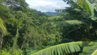 Foto 27 de Fazenda/Sítio com 2 Quartos à venda, 3500m² em Zona Rural, Miracatu