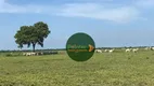 Foto 9 de Fazenda/Sítio à venda, 1540000m² em Zona Rural, Marianópolis do Tocantins