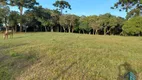 Foto 4 de Lote/Terreno à venda, 31420m² em Campina do Taquaral, São José dos Pinhais