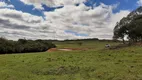 Foto 10 de Fazenda/Sítio com 1 Quarto à venda, 40000m² em Criúva, Caxias do Sul