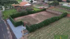 Foto 5 de Lote/Terreno à venda, 1000m² em Loteamento Parque dos Passaros, São José do Rio Preto