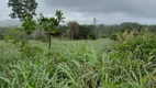 Foto 27 de Fazenda/Sítio com 2 Quartos à venda, 280000m² em Zona Rural, Padre Bernardo