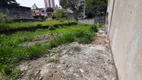 Foto 3 de Lote/Terreno à venda, 250m² em Vila Mascote, São Paulo