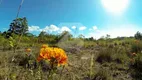 Foto 10 de Lote/Terreno à venda em Itapua, Viamão