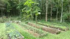 Foto 24 de Fazenda/Sítio com 3 Quartos para alugar, 120m² em Roseira, Colombo